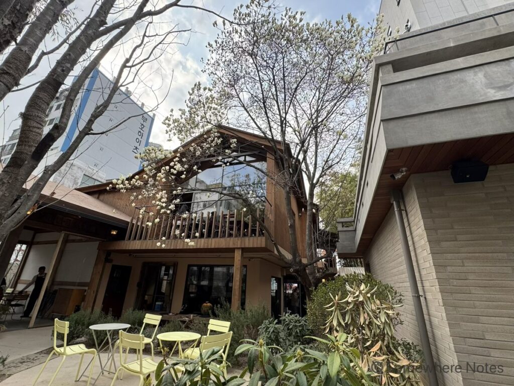 木造のバルコニーと大きなガラス窓が特徴的な2階建てのカフェ建物の前に広がる、緑に囲まれた中庭。満開の白いハクモクレンの木が建物の隣に立っている。前景のコンクリートのテラスには、明るい黄色の金属製テーブル2台と椅子5脚が置かれ、常緑樹などの植栽に囲まれている。